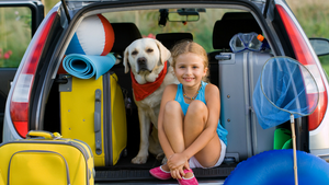 BEST PET ACCESSORIES FOR YOUR CAR